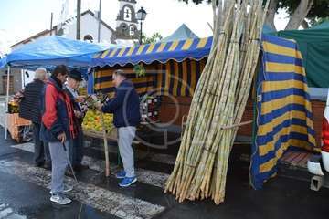 Día del Artesano y Labrador en Jinámar (Foto TA)